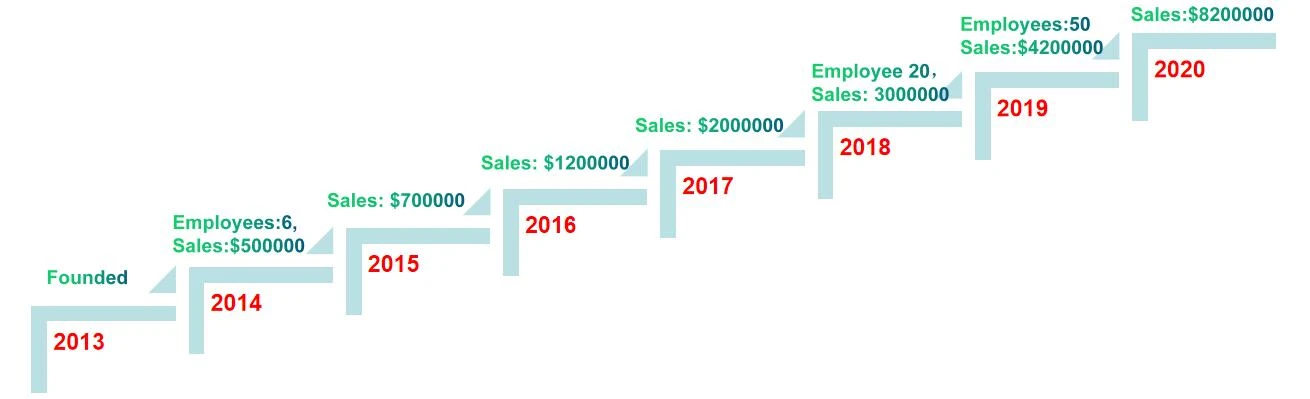 Joegoo annual sales