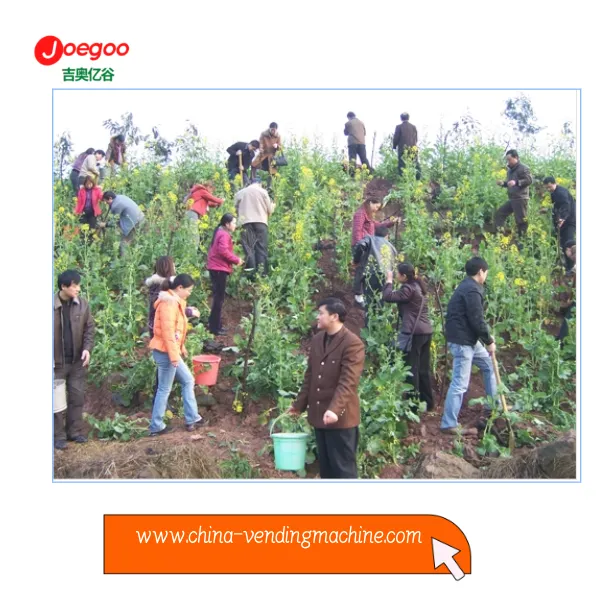 Одељење за извоз компаније Јеогоо организовало је добровољну акцију за Фестив...